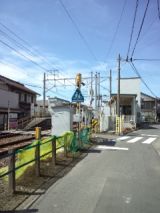 39316-1.jpg