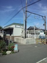 39318-1.jpg
