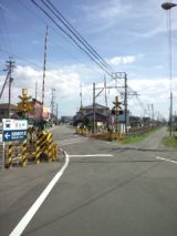 39319-2.jpg