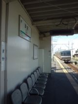 39319.jpg