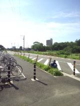 39321-4.jpg