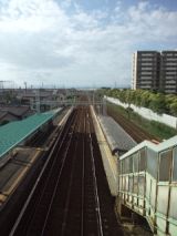 39328-3.jpg