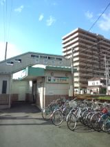 39329-1.jpg