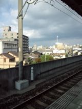 39331-1.jpg