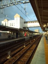 39335-1.jpg