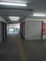 39335-3.jpg