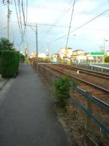 39336-4.jpg