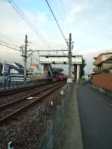 39337-3.jpg