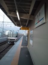 39337-5.jpg