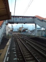 39341-1.jpg