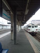 39362.jpg