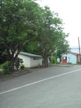39368-3.jpg