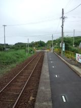39371-5.jpg