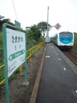 39371-6.jpg