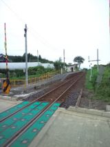 39371.jpg