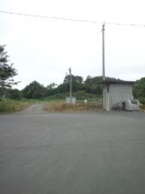 39373-3.jpg