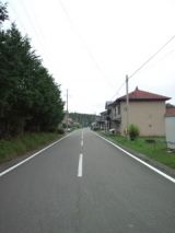 39373-6.jpg