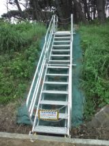 39378-2.jpg