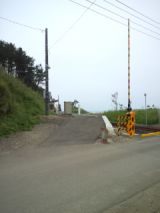 39378-5.jpg