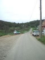 39378-6.jpg