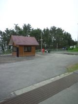 39382-3.jpg