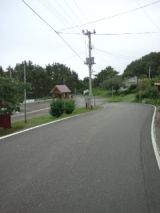 39382-7.jpg