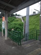 39396-3.jpg
