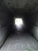 39396-7.jpg