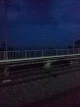 39402-1.jpg