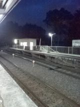 39402-2.jpg