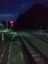 39402-3.jpg