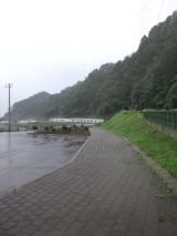 39414-7.jpg