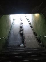 39423-4.jpg