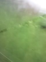39429.jpg