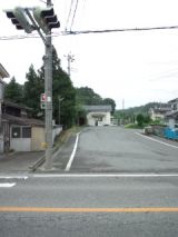 39445.jpg