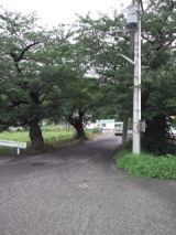 39450.jpg