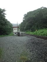 39473-5.jpg