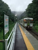 39473.jpg