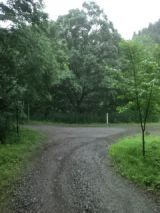 39476.jpg