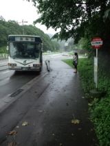 39485-1.jpg