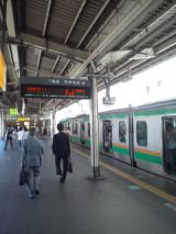 39508.jpg