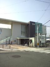 39519-1.jpg