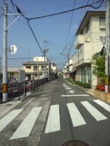 39519-2.jpg
