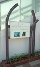 39519-4.jpg