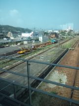 39519-5.jpg