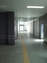 39523-2.jpg