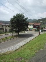 39525-4.jpg
