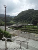 39525-5.jpg