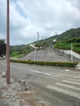 39525-7.jpg