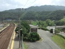 39527.jpg